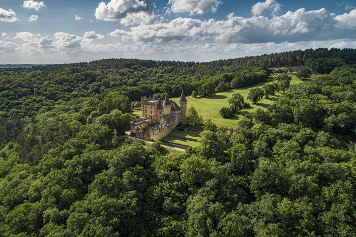 Chateau de Puymartin