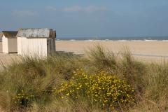 Des terrains en bord de mer à Ouistreham