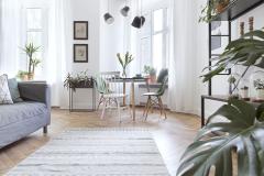 Salon lumineux avec une plante en premier plan.