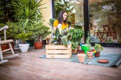 Les plus belles plantes pour décorer votre terrasse