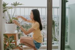 plantes-parfaites-balcon-meilleursagents