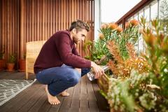 Les plantes parfaites pour sublimer votre balcon
