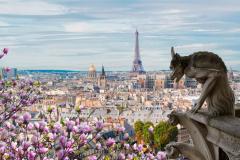 Paris poursuit une remontée progressive de ses prix avec une hausse de +0,3 %. © Getty Images