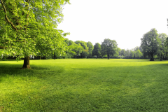 Le prix d'un terrain non constructible oscille entre 1 et 11 €/m² selon ses critères, sa localisation, sa configuration. © ah_fotobox - Getty images