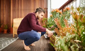 Les plantes parfaites pour sublimer votre balcon