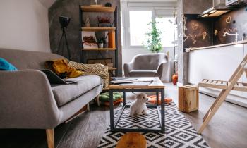 vue sur salon et kitchenette d'un studio d'étudiant
