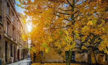 Conseils pour vendre son logement en automne