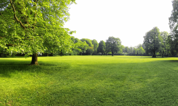 Le prix d'un terrain non constructible oscille entre 1 et 11 €/m² selon ses critères, sa localisation, sa configuration. © ah_fotobox - Getty images