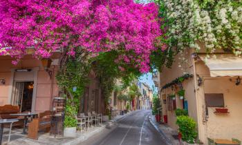 Rue à Athènes avec des façades de bougainvilliers rose. 