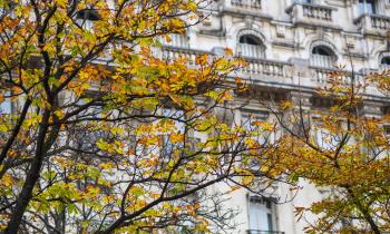 vendre en automne