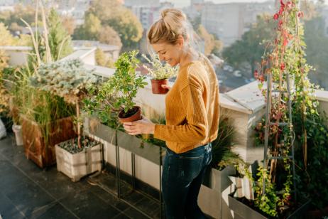 Pour décorer votre terrasse choisissez des plantes qui s'adapteront facilement au climat de votre région