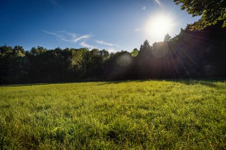 Beau terrain avec ciel bleu et soleil en toile de fond. 