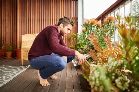 Les plantes parfaites pour sublimer votre balcon