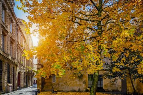 Conseils pour vendre son logement en automne