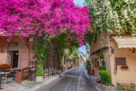 Rue à Athènes avec des façades de bougainvilliers rose. 