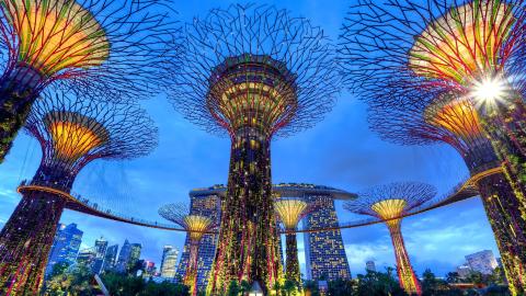 Ville de Singapour - architecture biophilique