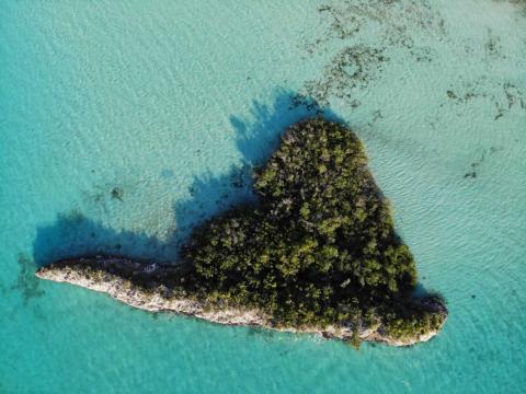 Neptune Cay aux Bahamas