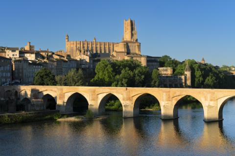 Ville d'Albi avec la cathédrale Sainte-Cécile en fond. 