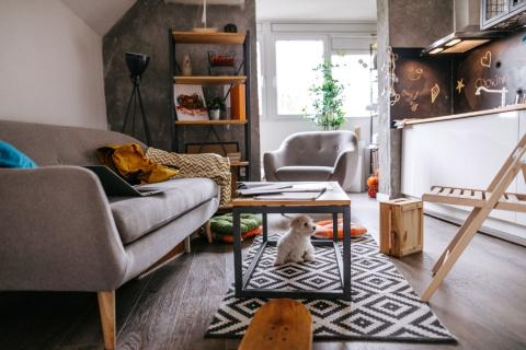 vue sur salon et kitchenette d'un studio d'étudiant 