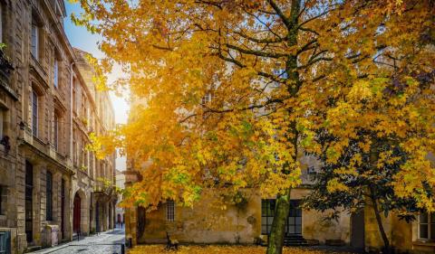 Conseils pour vendre son logement en automne