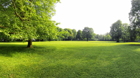 Le prix d'un terrain non constructible oscille entre 1 et 11 €/m² selon ses critères, sa localisation, sa configuration. © ah_fotobox - Getty images