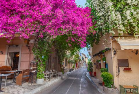 Rue à Athènes avec des façades de bougainvilliers rose. 