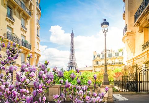 eiffel tour and Paris street