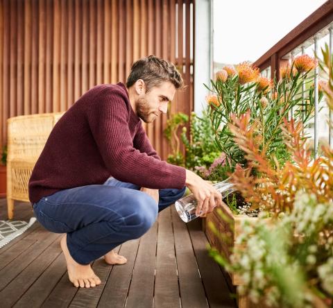 Les plantes parfaites pour sublimer votre balcon