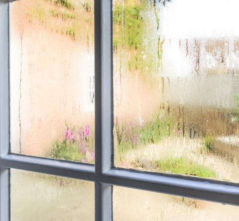 Lutter contre l'humidité à la maison