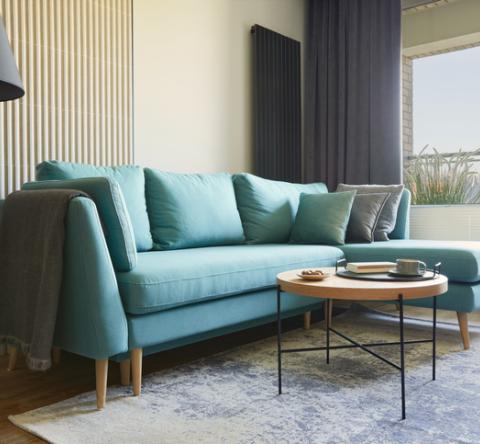 Salon et canapé bleu.